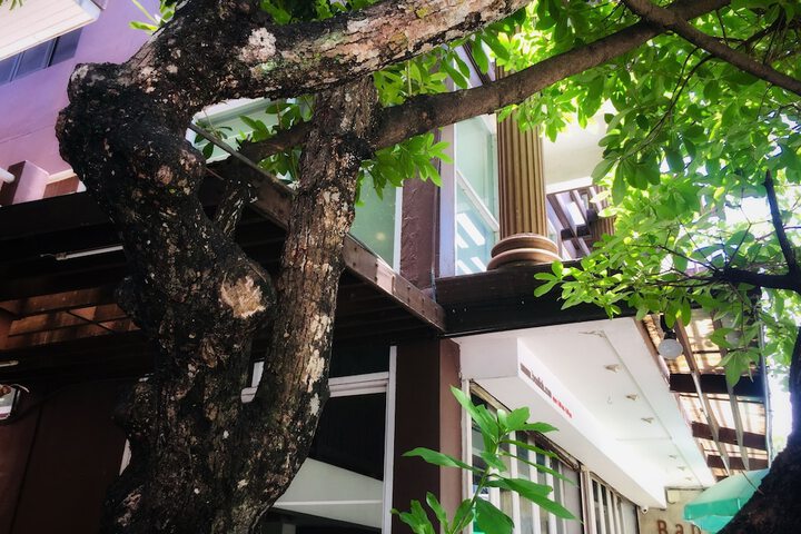 Hotel 70 of 81