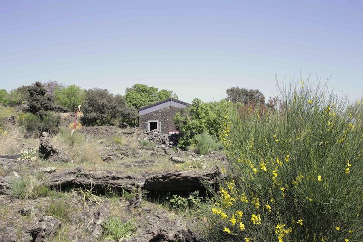 Property Grounds 28 of 49