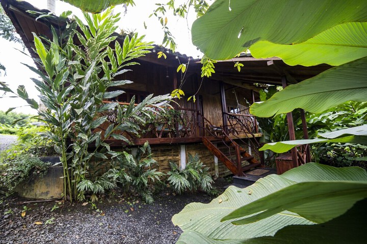 Terrace/Patio 70 of 80
