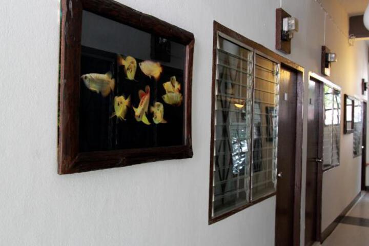 General 31 of 50