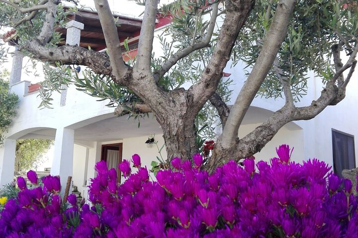 Hotel Exterior 39 of 61
