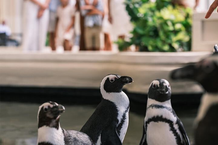 Water Sports 88 of 162