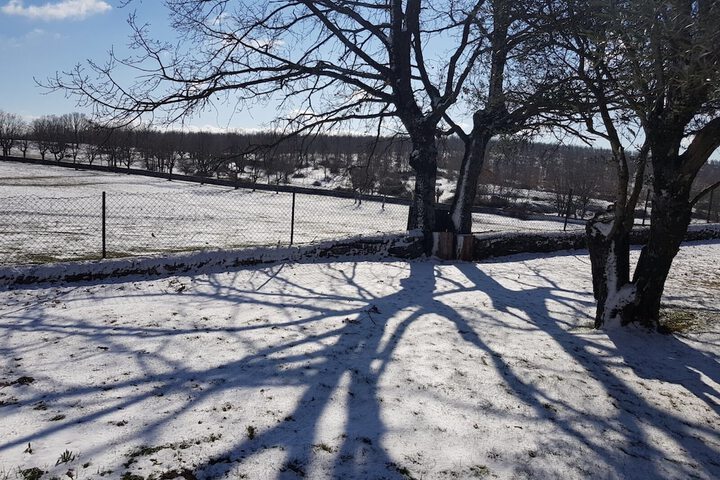 Property Grounds 41 of 58