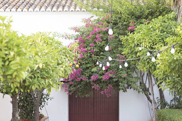Hotel Exterior 117 of 131