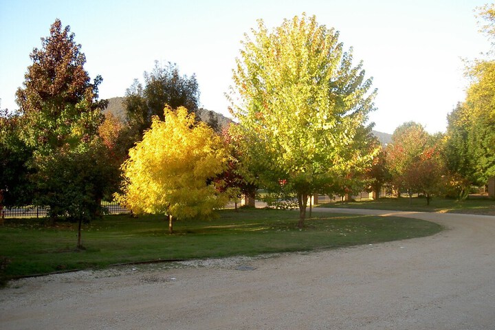 Property Grounds 28 of 33
