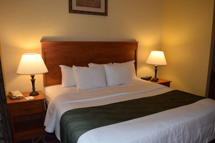 1 King Bed Suite with Sofa Bed (9 of 10)