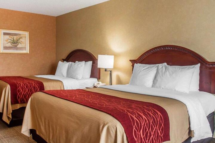 2 Queen Beds (12 of 16)