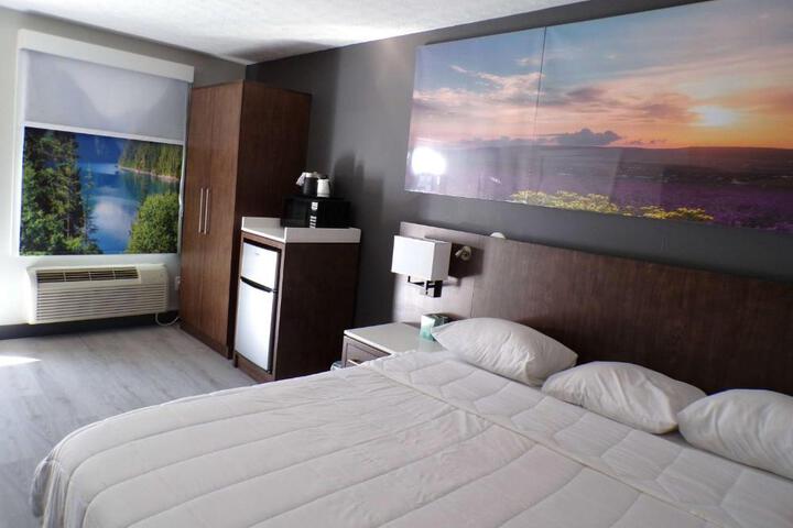1 Queen Bed Studio Suite (3 of 9)