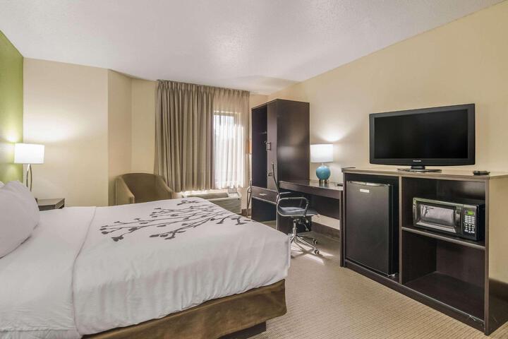 Standard | King Bed (3 of 8)