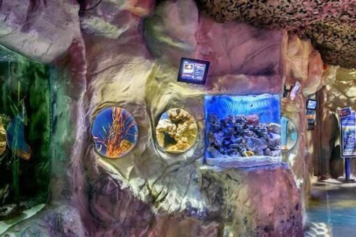 Hotel 29 of 33