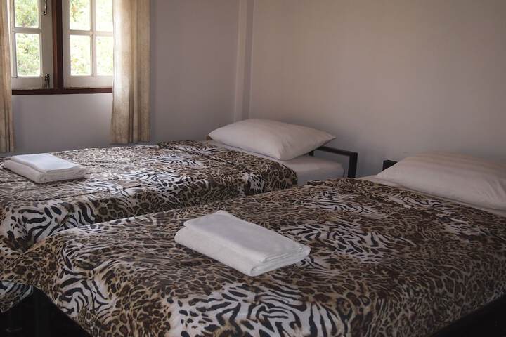 Room 16 of 51