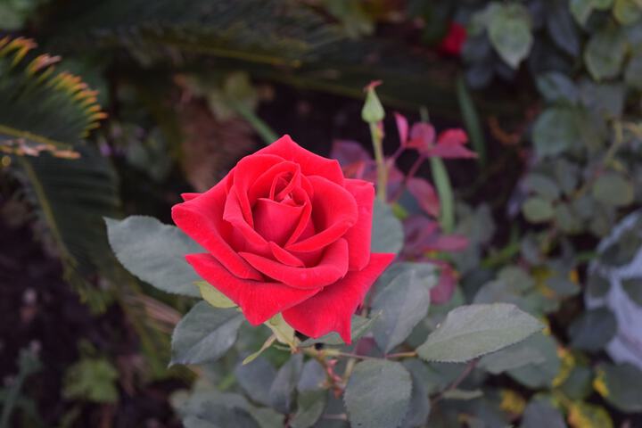 Hotel Exterior 23 of 32