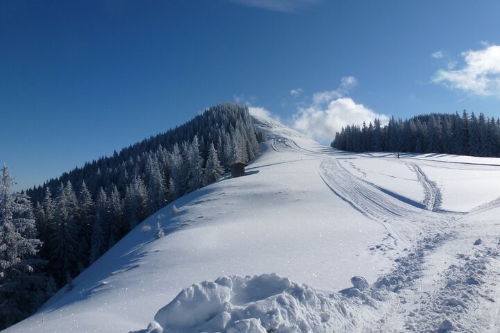 Snowshoeing
