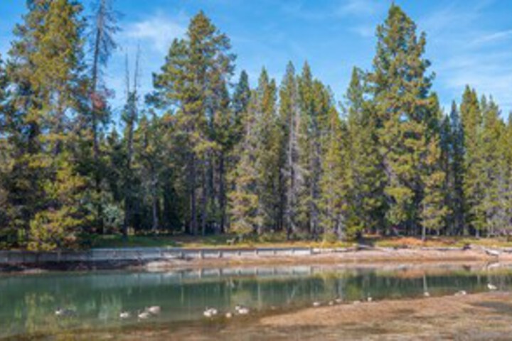 Property Grounds 11 of 31