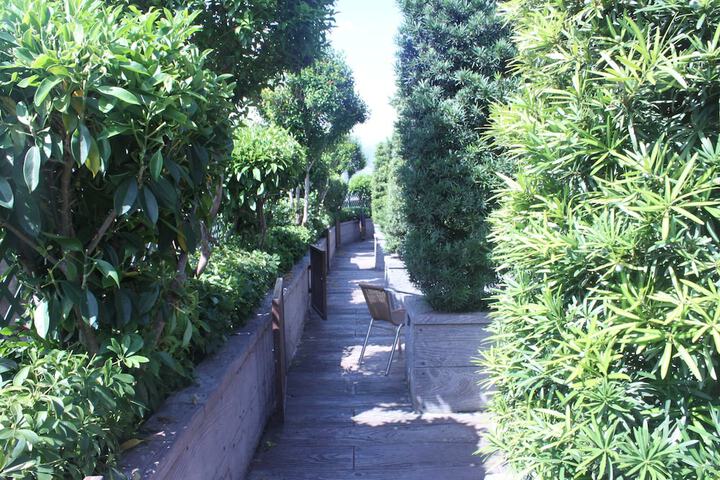 Terrace/Patio 14 of 45