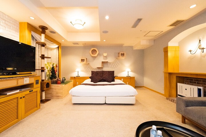 Room 54 of 239