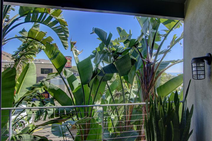 Balcony view