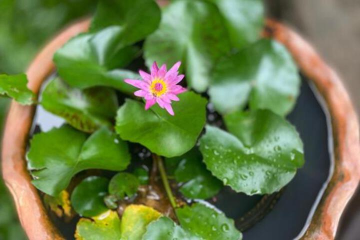 Photo 26