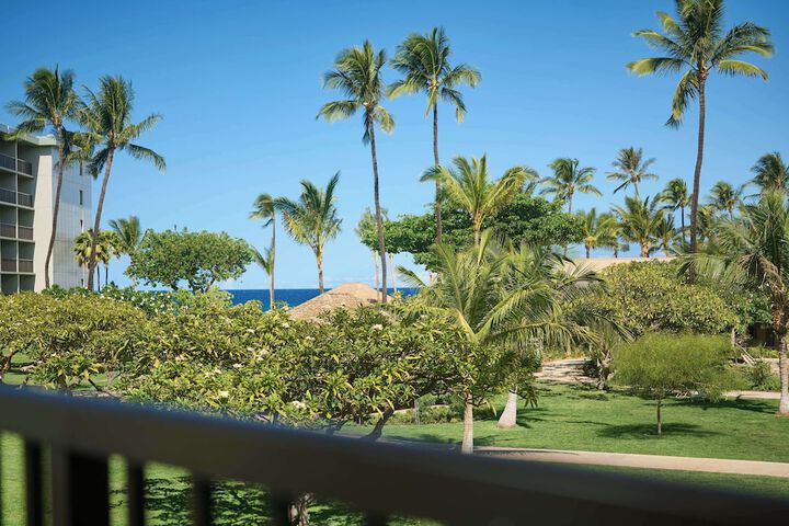 View from room