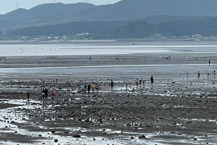 Beach 51 of 56