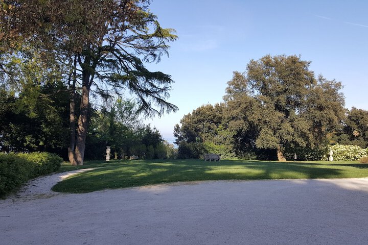 Property Grounds 53 of 71