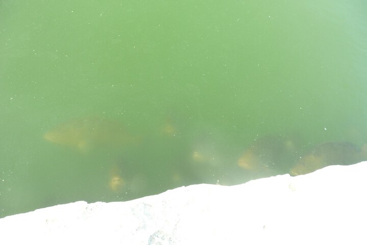 Lake