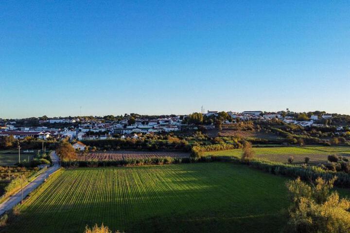 Lilases Boutique House & Garden
