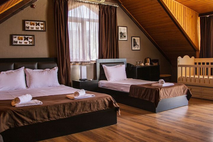 Hotel New Metekhi