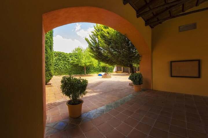 Terrace/Patio 57 of 63