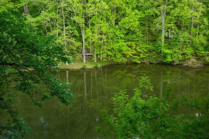 Lakefront-nestled in Nirvana