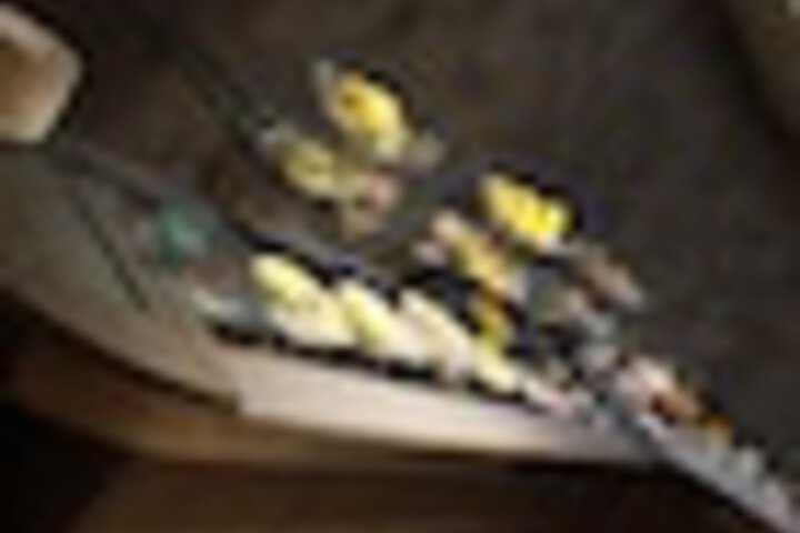 Dining 164 of 237