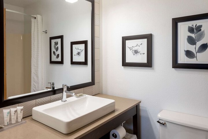 1 King Bed Suite (2 of 13)