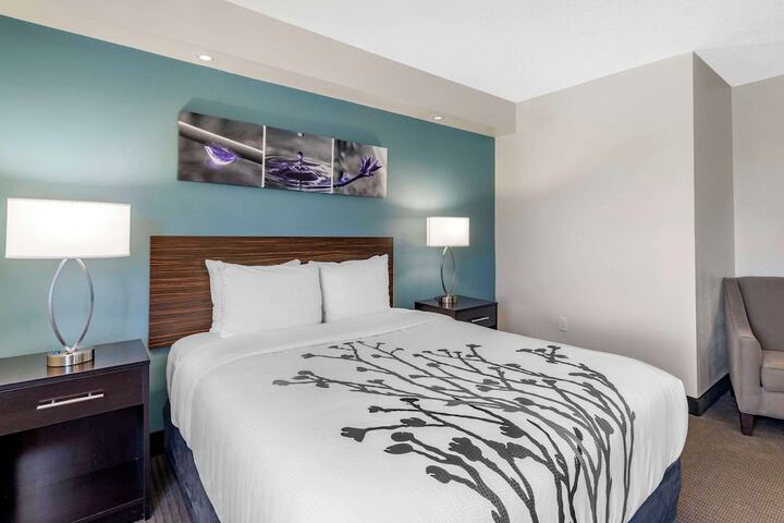 1 Queen Bed Accessible (4 of 6)