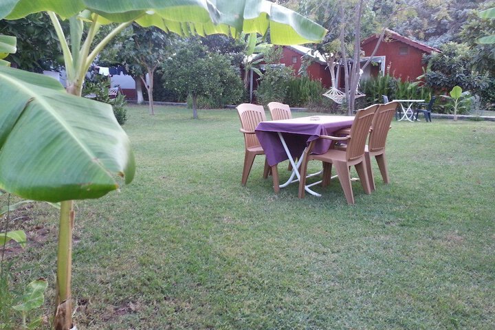 Dining 60 of 63