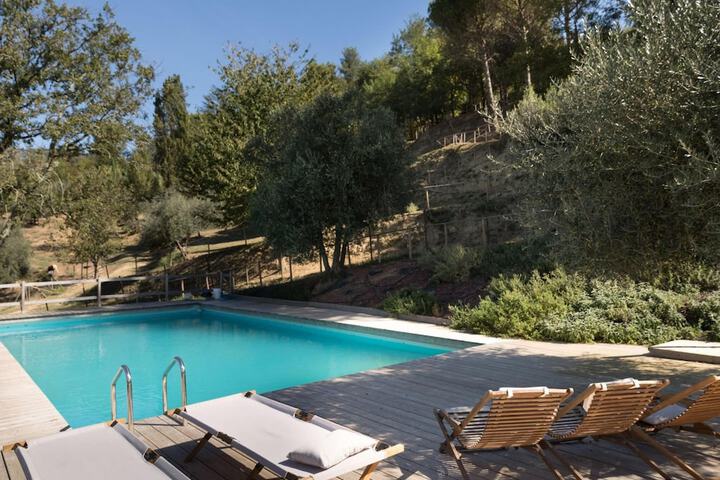 Farmhouse in Tuscany With Pool & Near Pisa