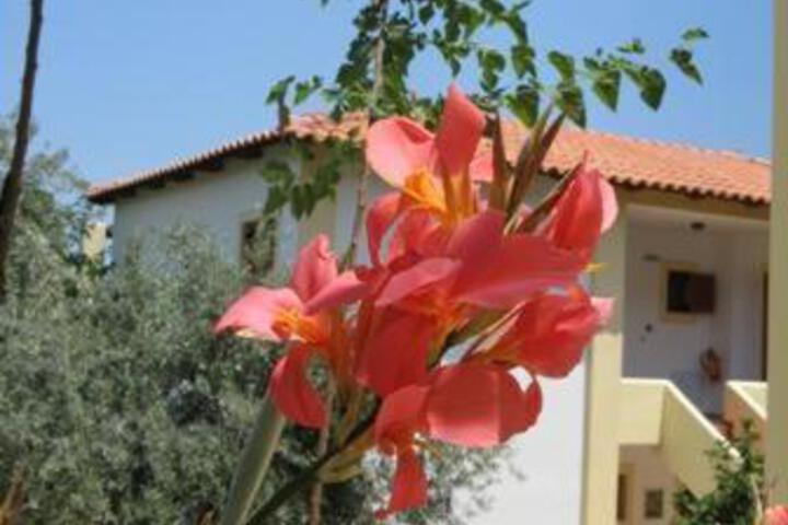 Hotel Heleni Apartments