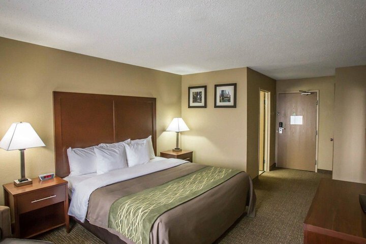 1 King Bed (8 of 15)