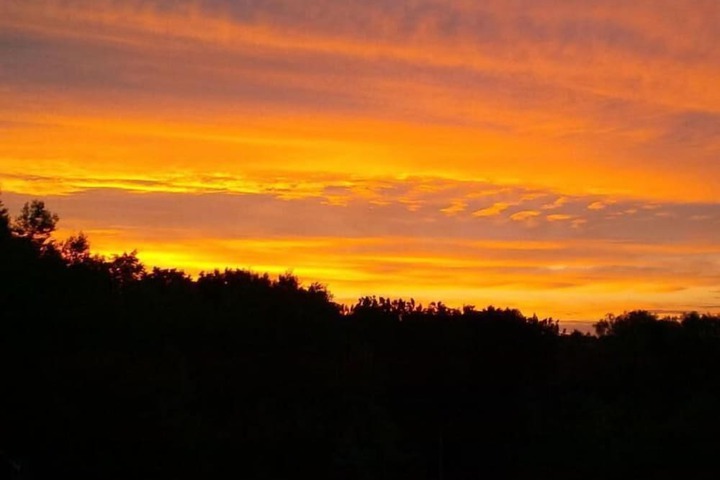 Property Grounds 32 of 52