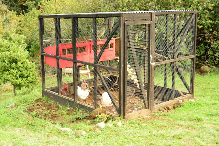 Property Grounds 66 of 87