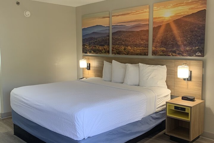 1 King Bed (8 of 13)