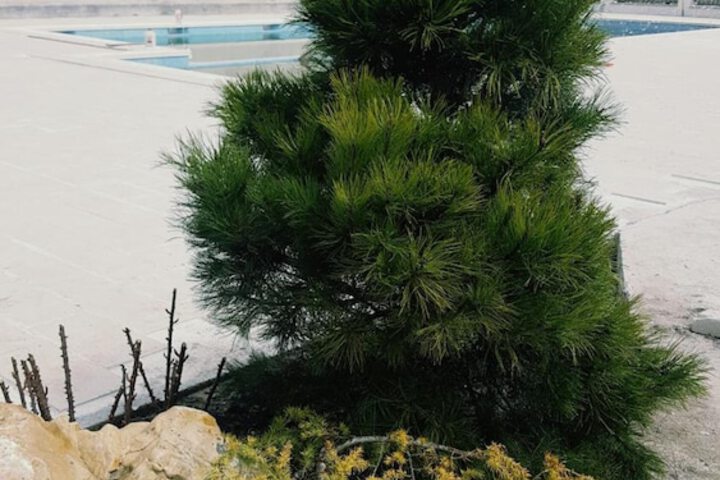 Pool 36 of 68