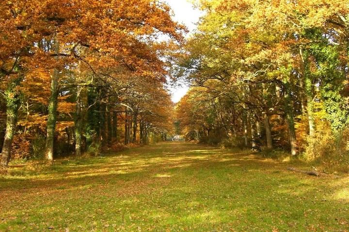 outside