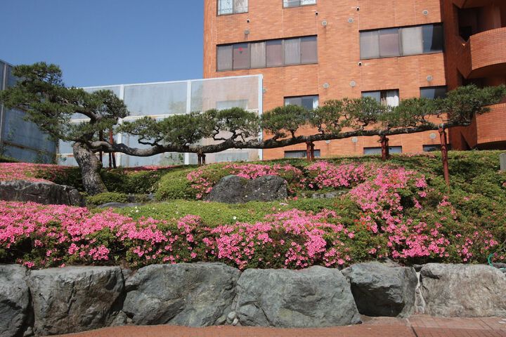 Hotel Exterior 85 of 114