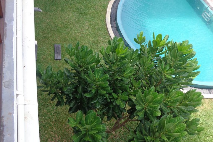 Pool 33 of 81