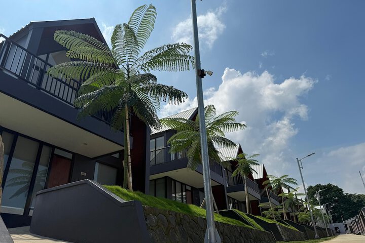 General 11 of 14