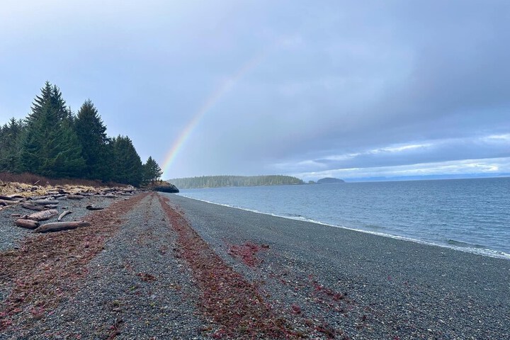 Beach 53 of 64