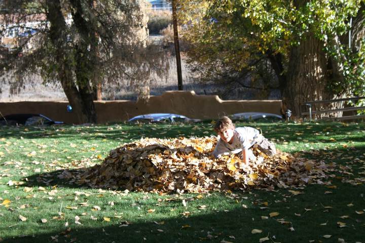 Outdoor Activities 77 of 125