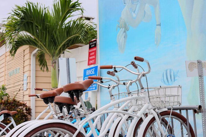 Outdoor Activities 55 of 102