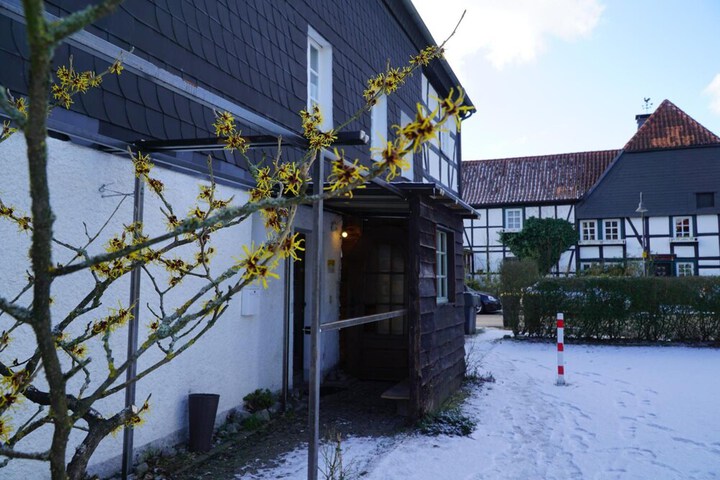 Photo 24