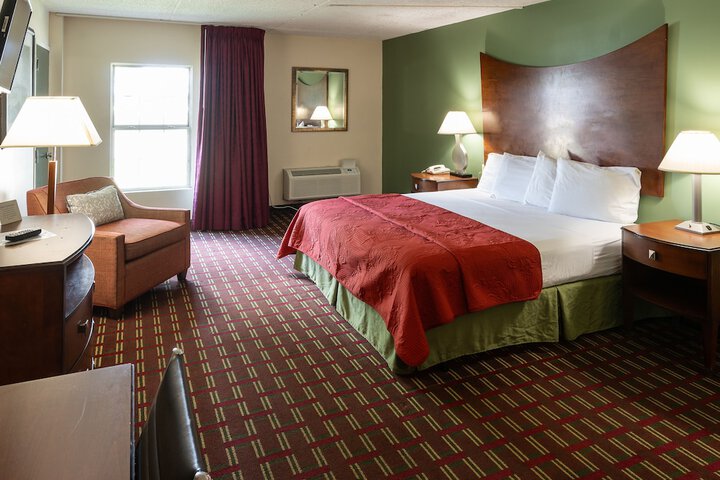 Deluxe King Bed (2 of 10)